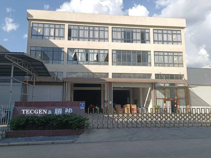 China FUJIAN TECGEN POWER CO., LTD. Unternehmensprofil